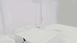 IRGS environment direct illumination inset