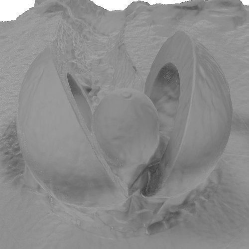 BlendedMVS stone NeuS result