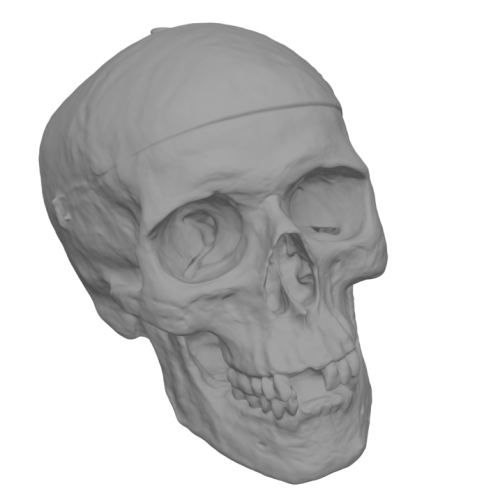 DTU scan 65 BA-NeuS result