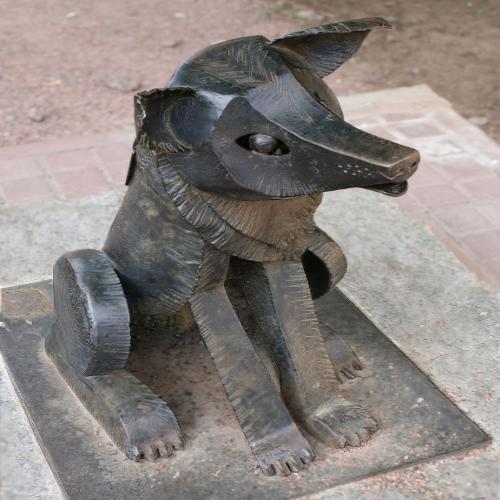 BMVS dog reference RGB